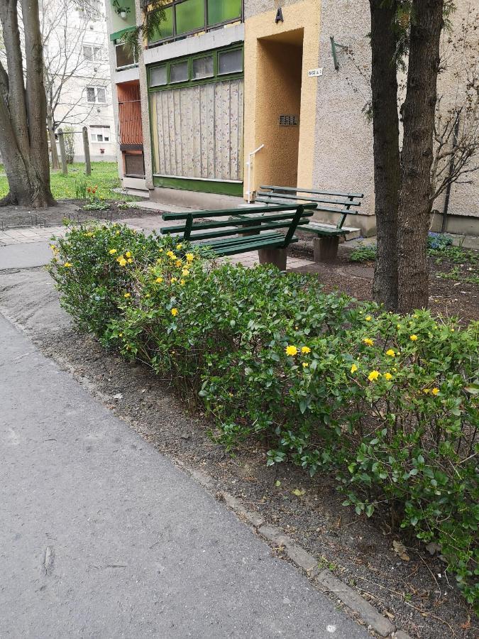 Natasa Apartman Orosháza Esterno foto