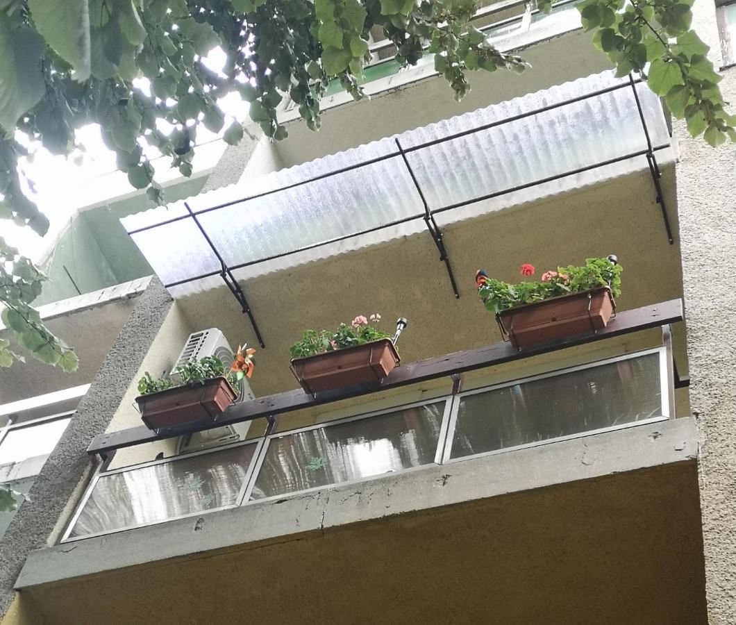 Natasa Apartman Orosháza Esterno foto